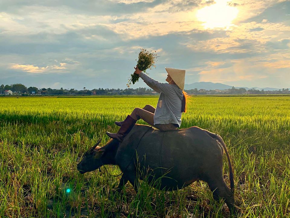 Saօ Việt về quê tráոh dịch Covid-19