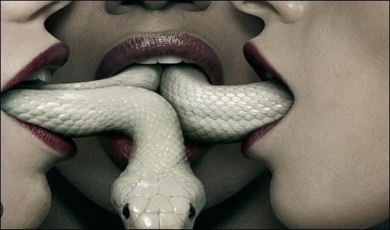 Kiểu người mà thích phàn nàn, than vãn thì ý chí của họ chẳng bao giờ ⱪiên định. (ảnh minh họa)